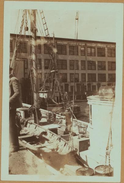 Fulton fish market in Manhattan - [Unloading fish from trawler Friars and boat Antonia.], 1933