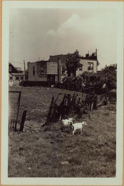 Richmond: Amity Street - White Plains Avenue, 1934