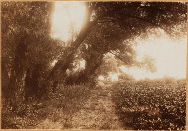 Brooklyn: 35th Street (East) - Avenue R, 1904–1922