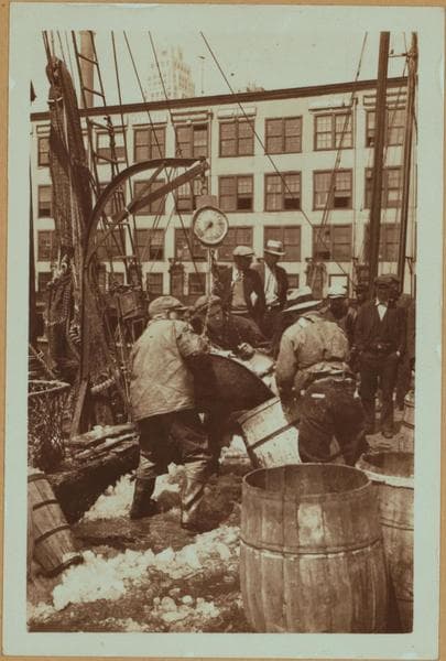 Fulton fish market docks in Manhattan - [Hoisting fish from schooner.], 1934