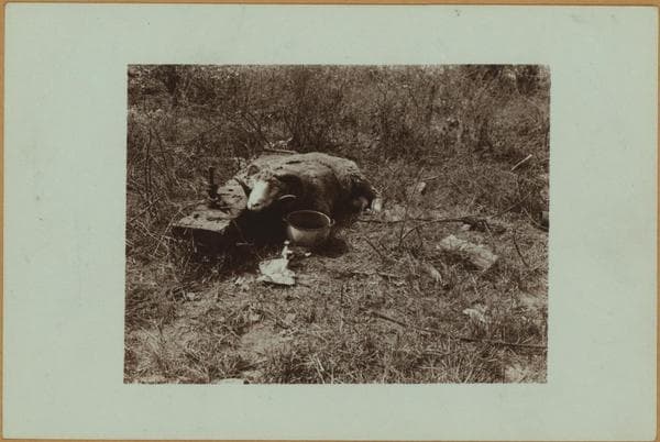 Squatters Colony - Camp Thomas Paine., 1932