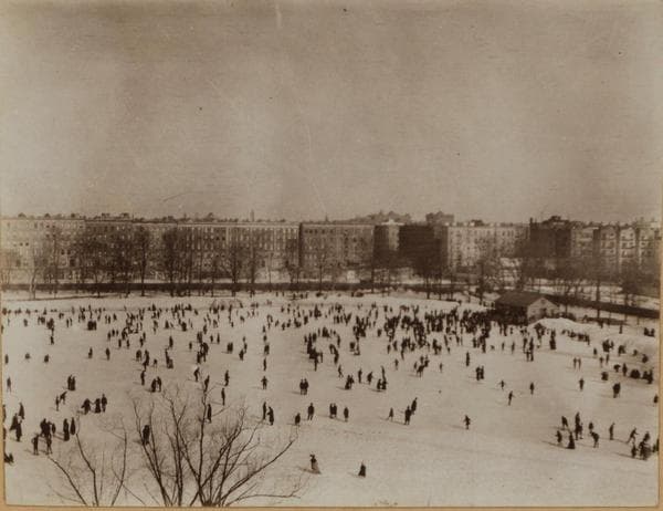 Manhattan: Central Park at 110th Street -- Lake and botanical garden, 1905