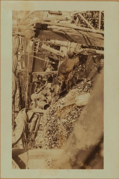 Occupations - Peddlers - General food vendors - Oysters., 1923