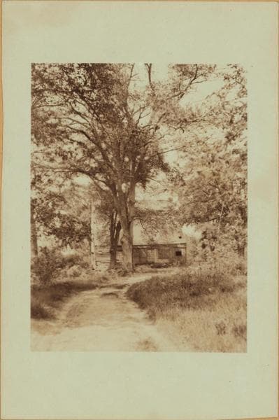 Richmond: Hylan Boulevard - Satterlee Street, 1905–1925