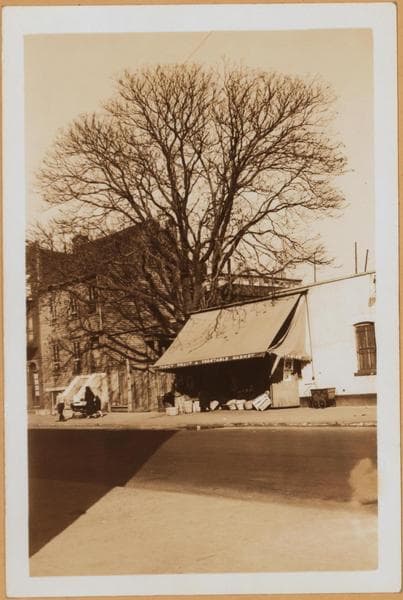 Brooklyn: Humboldt Street - Scholes Street, 1934