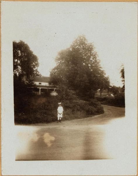 Bronx: Boston Road - Provost Avenue, 1914