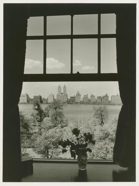 Parks - Central Park - looking west from Fifth Avenue apartment