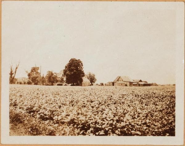 Brooklyn: 36th Street (East) - Fillmore Avenue, 1922–1923