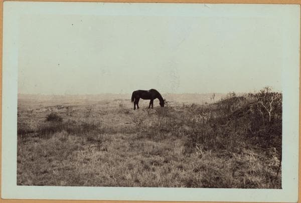 Queens: Grand Central Parkwa - Corona Avenue, 1935–1936