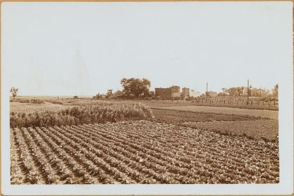 Brooklyn: Pennsylvania Avenue - Wortman Avenue, 1934
