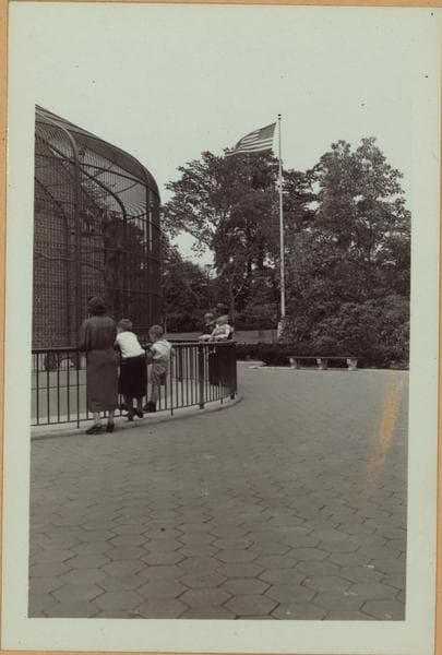 Richmond: Barrett Park - [Barrett Park Menagerie.], 1937