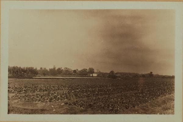 Farming on Staten Island, 1927–1929