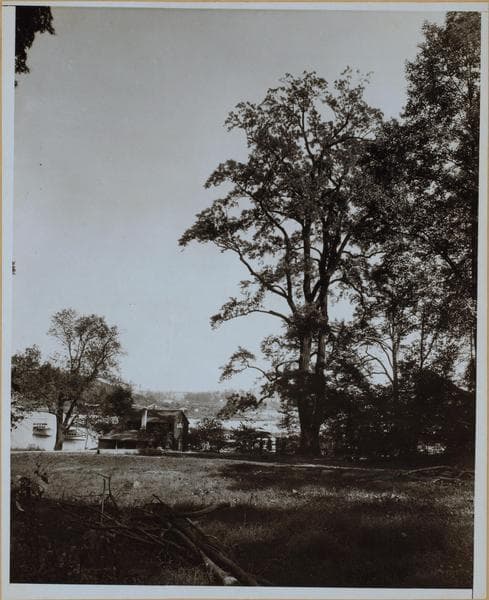 Manhattan: Inwood Hill Park., 1932
