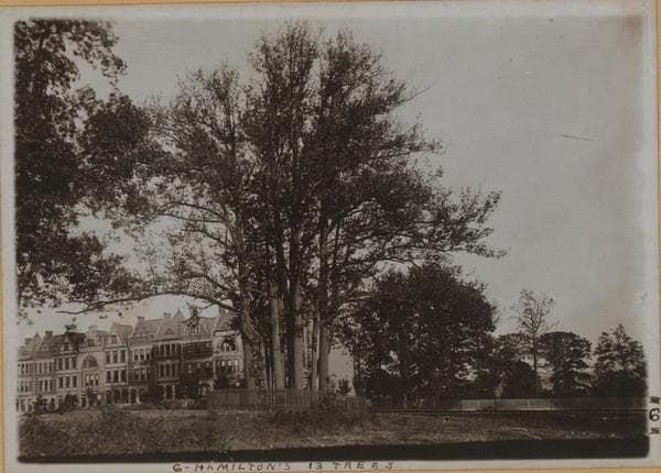 Manhattan: Convent Avenue - 143rd Street (West), 1891