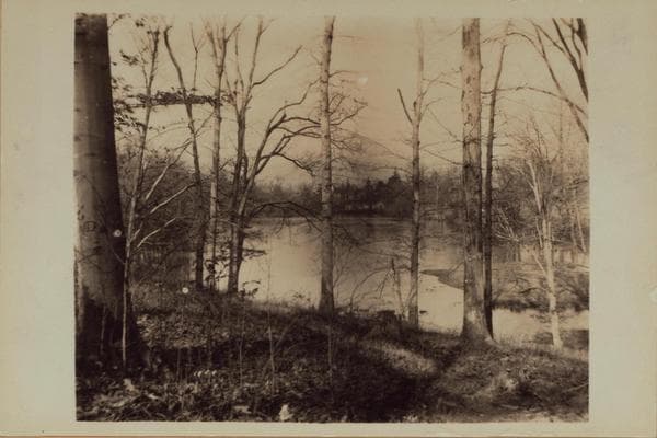 Richmond: [Staten Island] - Clove Lakes Park - Brook's Lake (Pond)., 1905