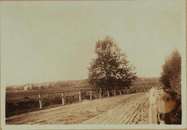 General view - Queens - Kissena Boulevard - Castleton Avenue (Northwest corner)., 1897