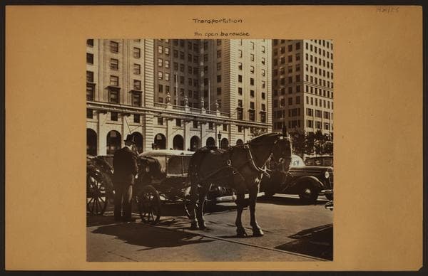 Transportation - [A horse drawn open barouche in Central Park.]
