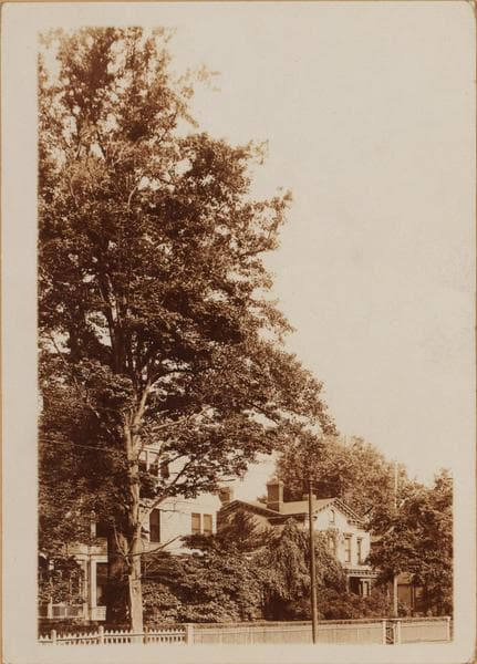 Brooklyn: Flatbush Avenue - Westbury Court, 1922