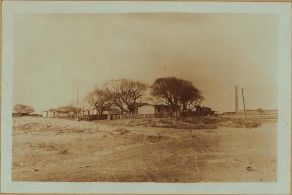 Islands - Barren Island - [Horse disposal plant in Brooklyn.], 1931