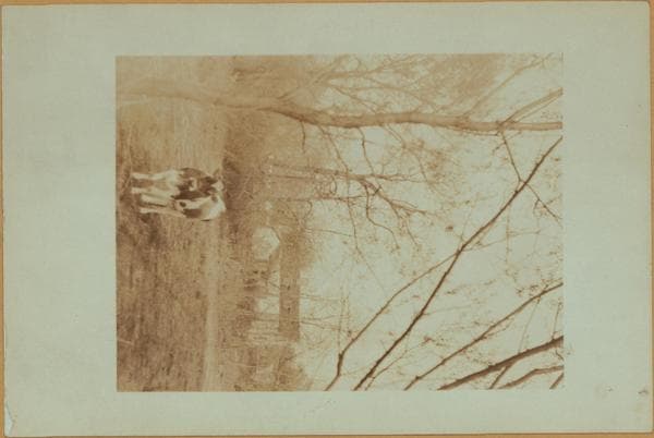 Richmond: Willowbrook Road - Decatur Avenue, 1924–1929