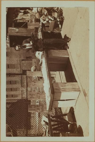 Occupations - Peddlers - Food - Eggs., 1928–1934