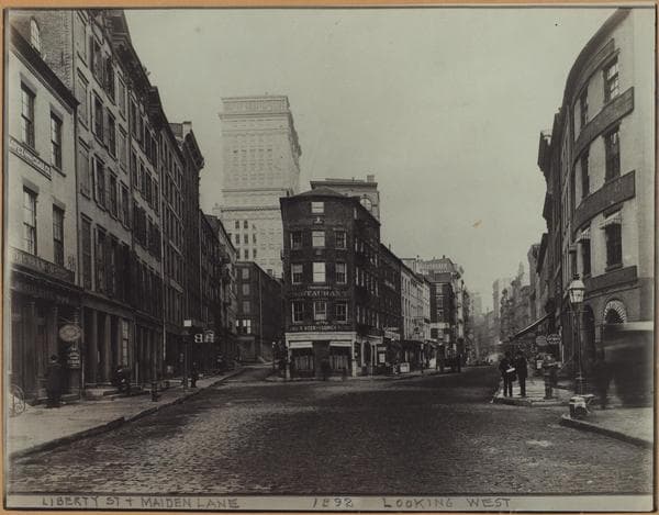 Manhattan: Maiden Lane - Liberty Street, 1880