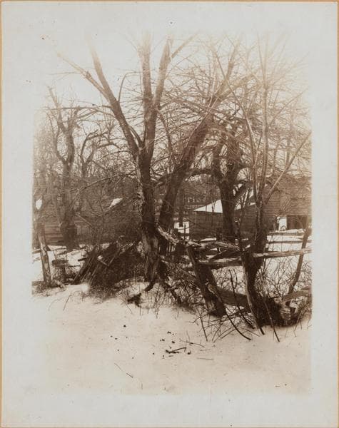 Brooklyn: Jamaica Avenue - Warwick Street, 1895