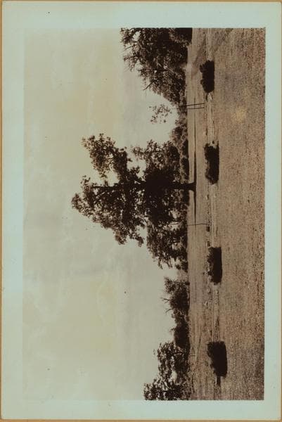 Colleges and Universities - Wagner College - Staten Island [Richmond.], 1932–1937