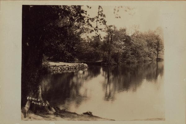 Richmond: [Staten Island] - Clove Lakes Park - Brook's Lake (Pond)., 1905