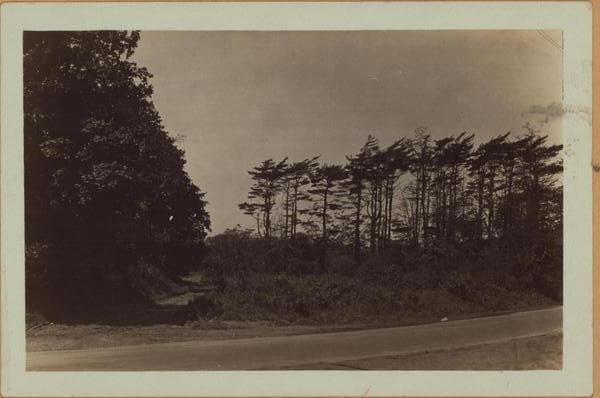 Queens: Springfield Boulevard - 76th Avenue, 1927