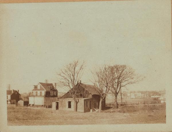 Queens: Calamus Avenue - Ankener Avenue, 1924