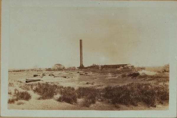 Islands - Barren Island - [Horse disposal plant in Brooklyn.], 1931