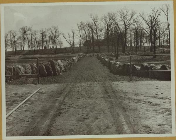 Islands - Hunter Island - [Hunter Island Bridge in Bronx.], 1931