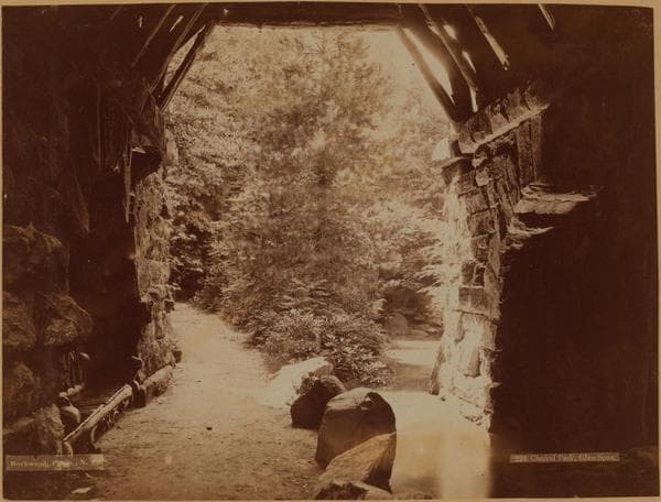 Manhattan: Central Park - Miscellaneous., 1890