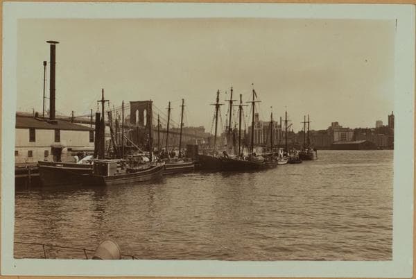 Fulton fish market - [Fishing fleet - Fulton Street docks.], 1925–1933