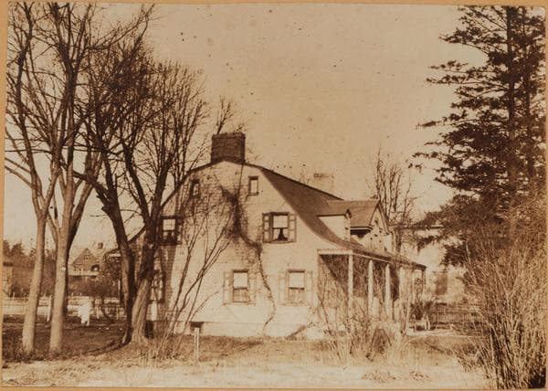 Brooklyn: Flatbush Avenue - Chester Court, 1910–1923