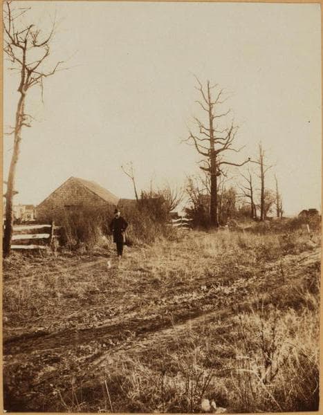Brooklyn: Warwick St. - Dumont Ave., 1895