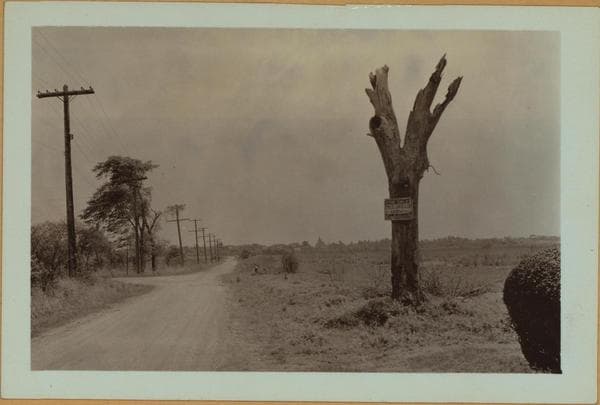 Richmond: Meredith Avenue - Chelsea Road, 1937