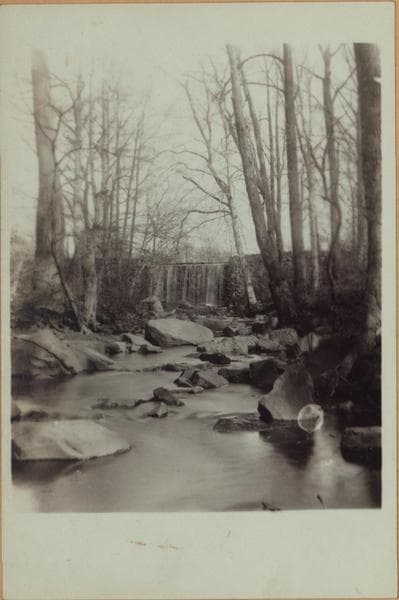 Richmond: Staten Island - Clove Lakes Park - Brook's Falls., 1905