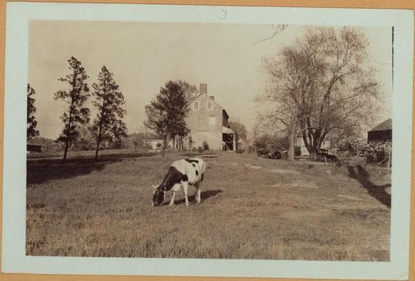 Richmond: Arthur Kill Road - Engert Street, 1925–1937