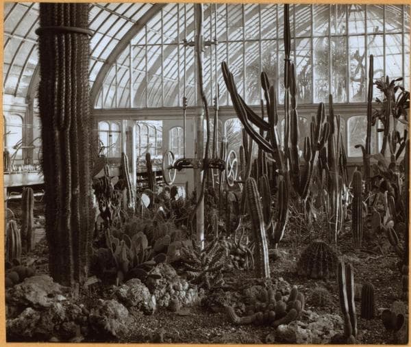 Bronx: Bronx Park - Botanical Garden., 1936