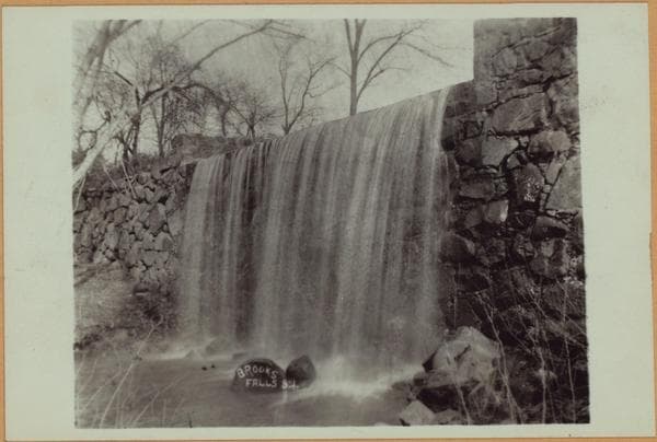Richmond:] Staten Island - Clove Lakes Park - Brook's Falls., 1905–1910