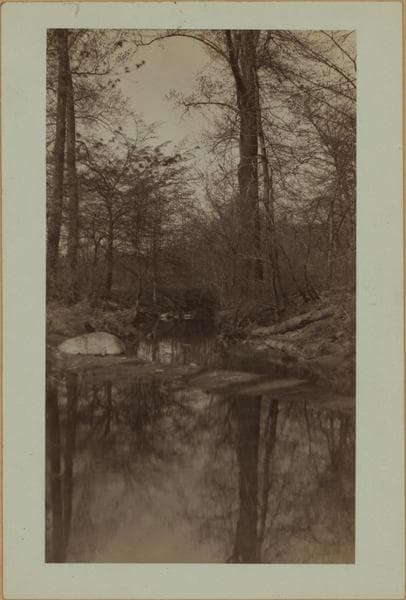 Betty Holmes' Brook - Staten Island [Richmond - Arthur Kill Road.]