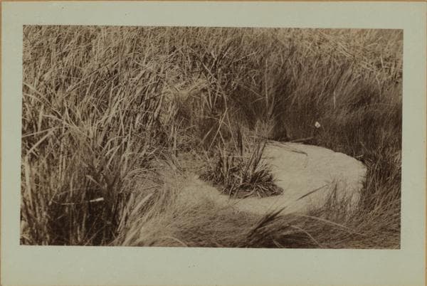 Staten Island - Oakwood Beach - [Salt meadows ; Lake Hill.], 1911–1925