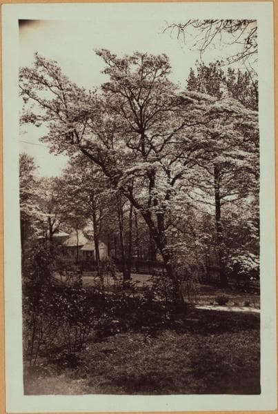 Richmond: Douglas Road - Emerson Avenue, 1932