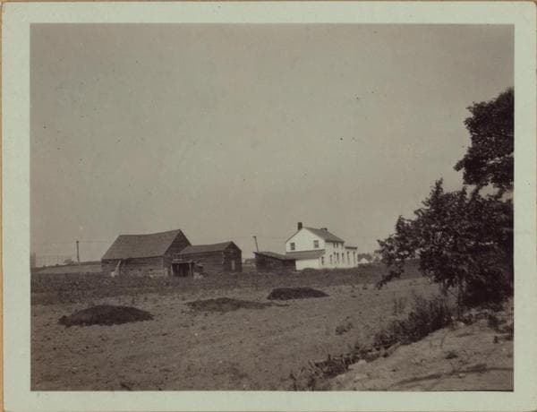 Queens: 85th Street - 62nd Avenue, 1923