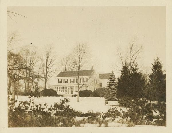 Queens: Jamaica Avenue - Hollis Court Boulevard, 1923