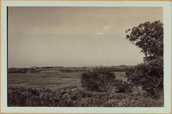 Queens: Flushing Meadow Park - [76th Avenue - 113th Place.], 1923–1935