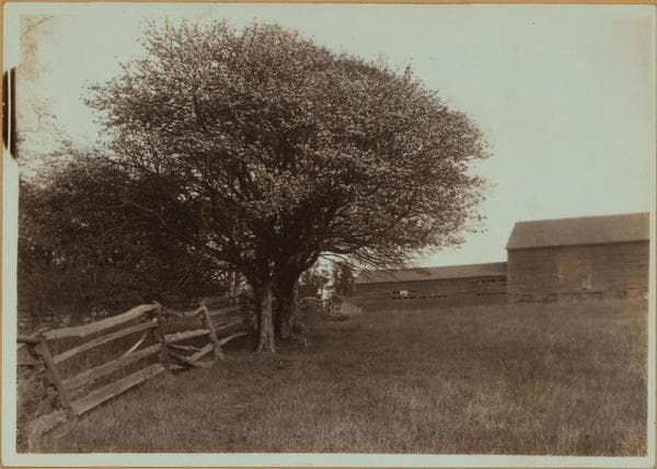 Richmond: Richmond Hill Road - Mill Road, 1910