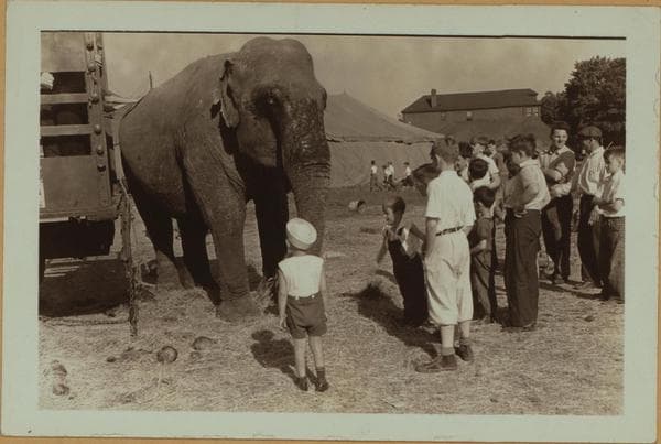 Circus - [Queens]., 1937